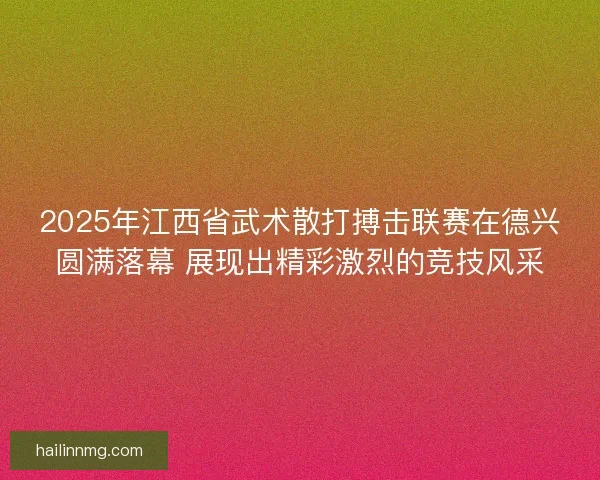 2025年江西省武术散打搏击联赛在德兴圆满落幕 展现出精彩激烈的竞技风采